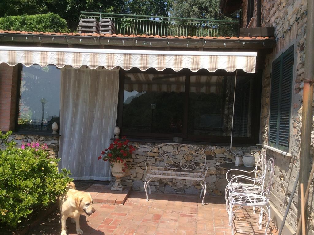 Villetta Bisio Genua Pokój zdjęcie